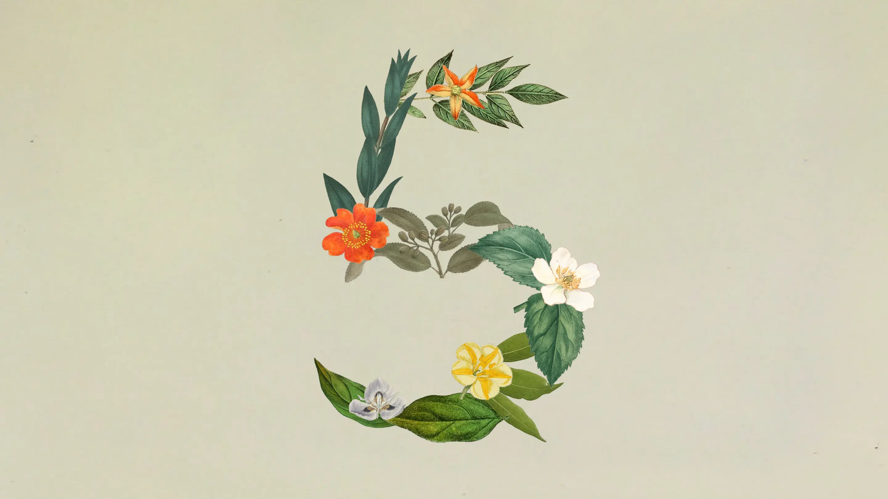 Claude Sonnet 5 模型能力概览